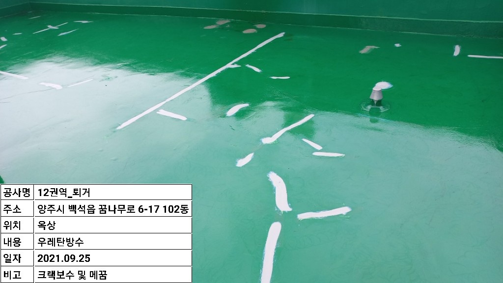 2000769928_WMAyibO1_f55b41675bd8786c86573217711517db26c34468.jpg 이미지크게보기
