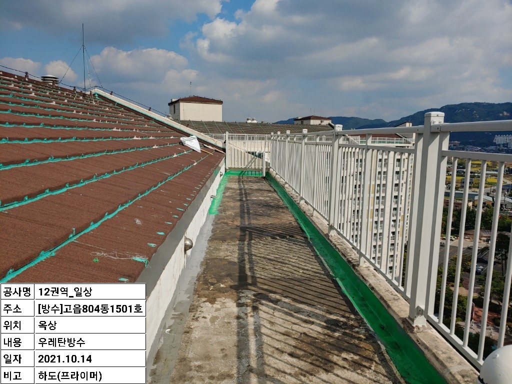 2000769928_Z09pkeBv_55a16378a710c4eba1995e3706a269e16c359c9e.jpg 이미지크게보기